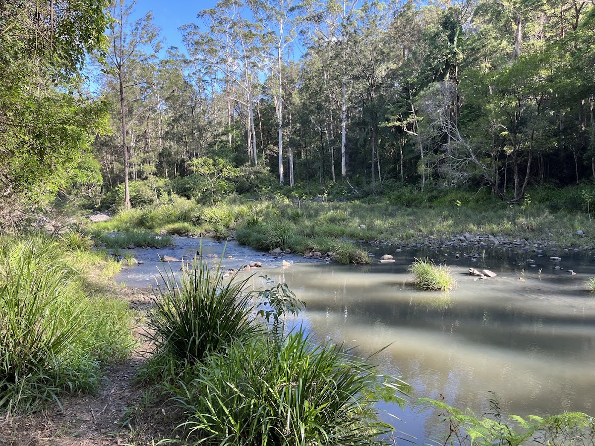 Bellthorpe National Park