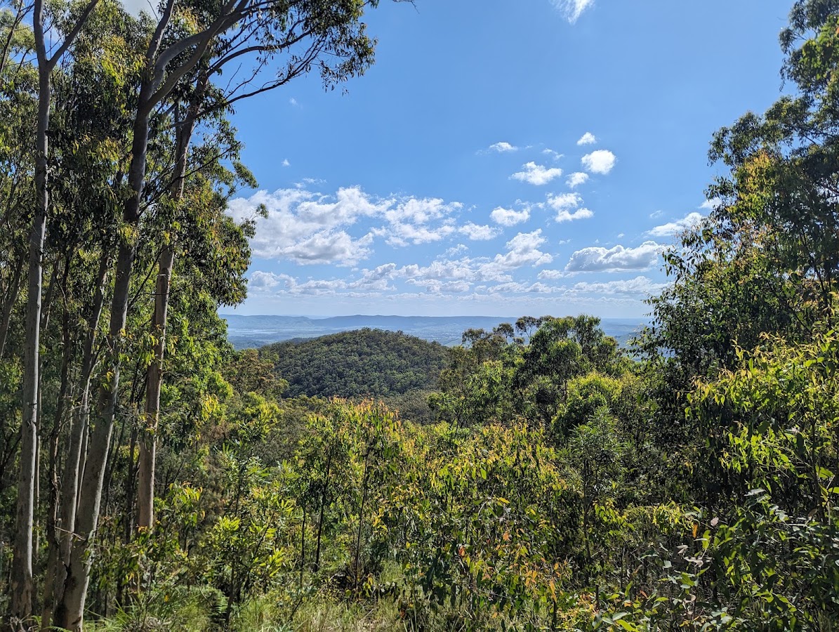 Bellthorpe National Park