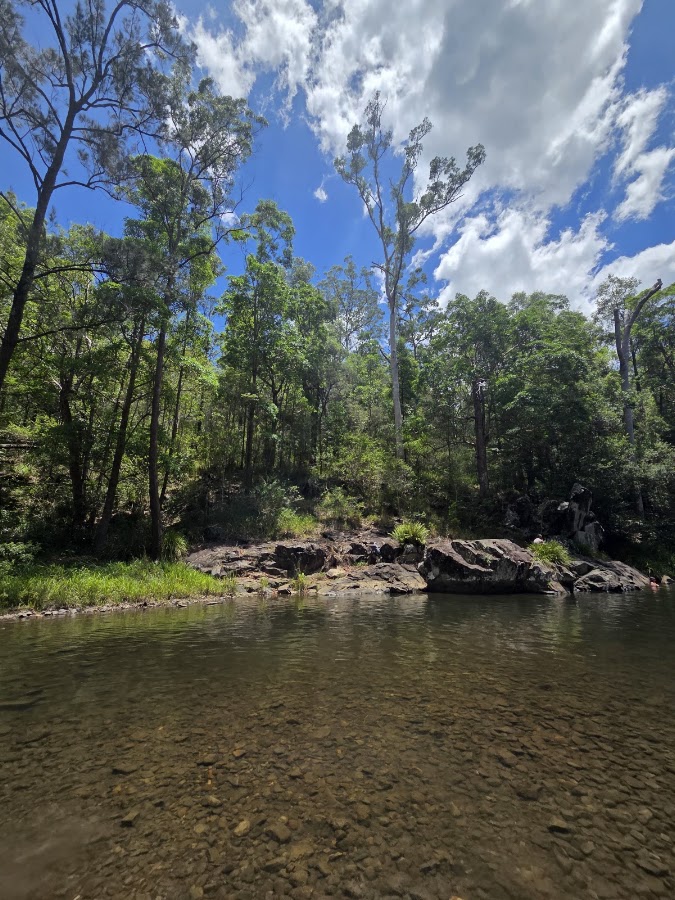 Bellthorpe National Park