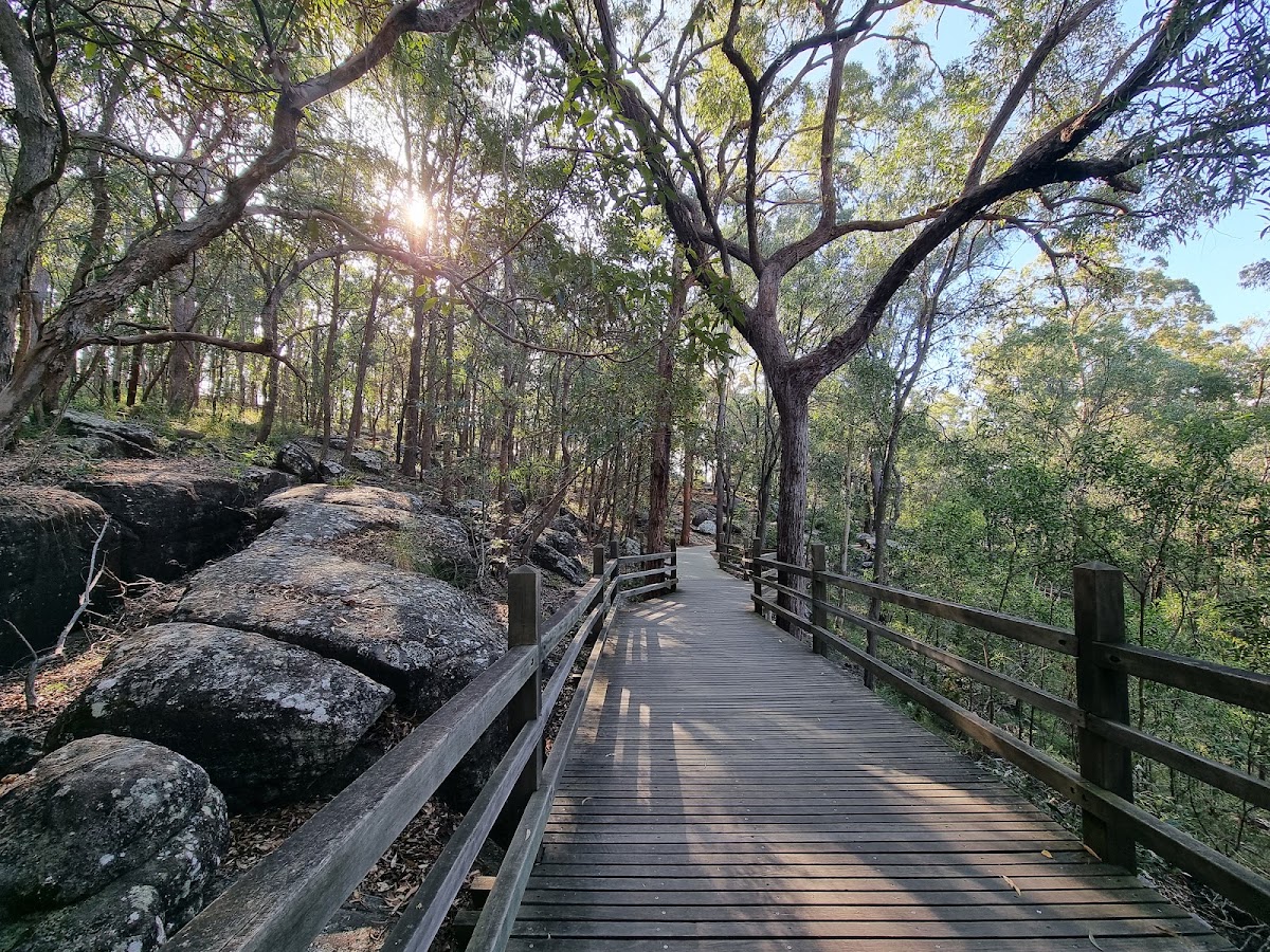 Toohey Forest Conservation Park