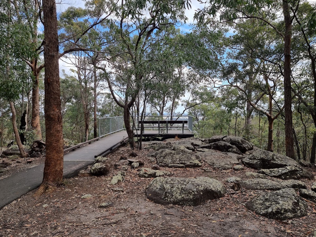 Toohey Forest Conservation Park
