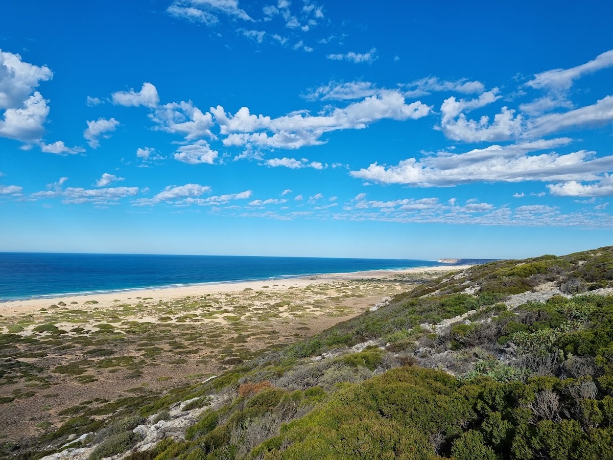 Nullarbor National Park