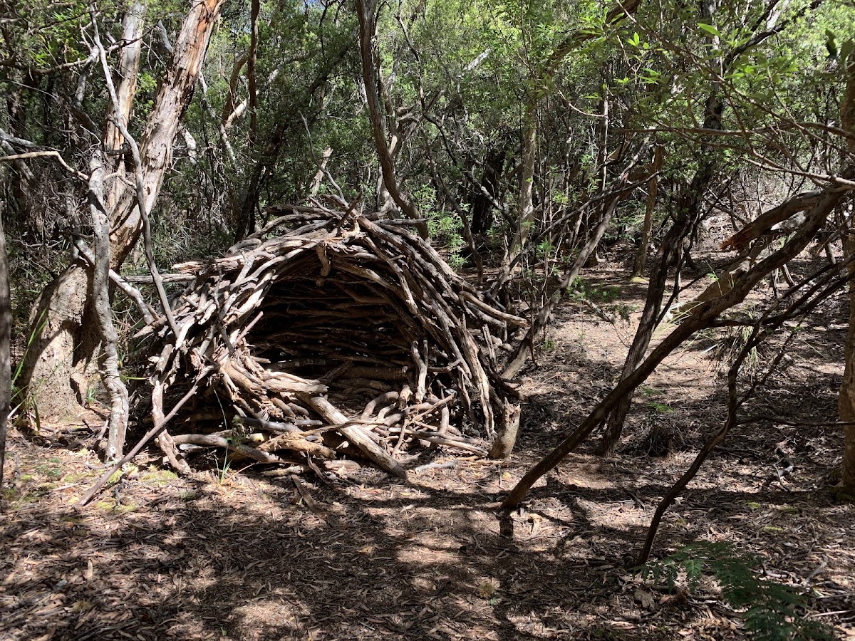 Bare Knoll Campground
