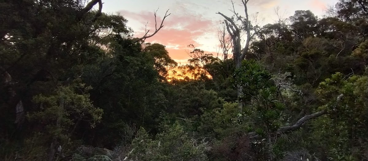 Bare Knoll Campground