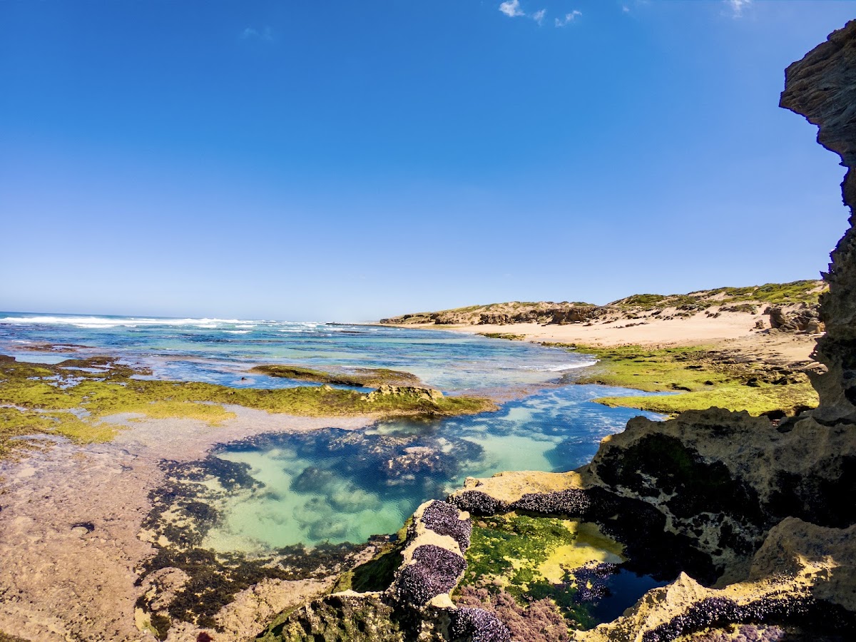 Gunnamatta Beach