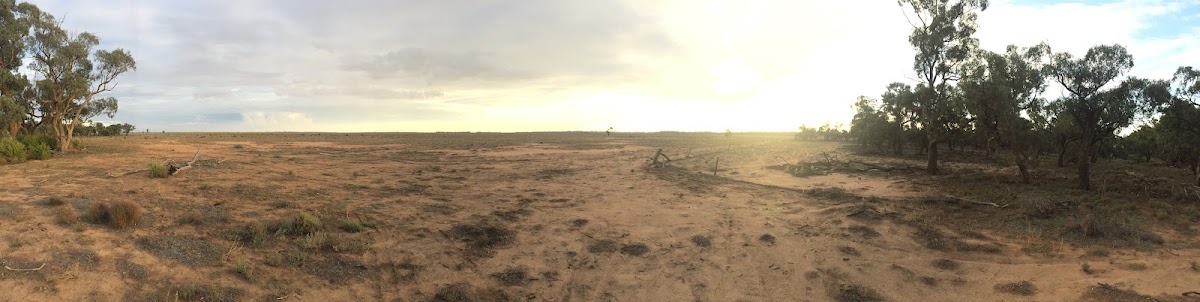Burrabogie Reserve