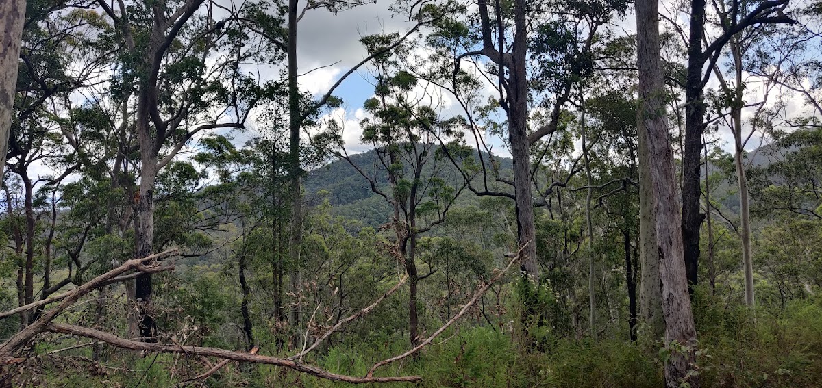 Collombatti Lookout