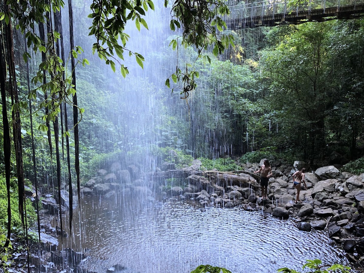 Crystal Shower Falls
