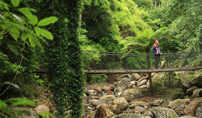 Budderoo National Park