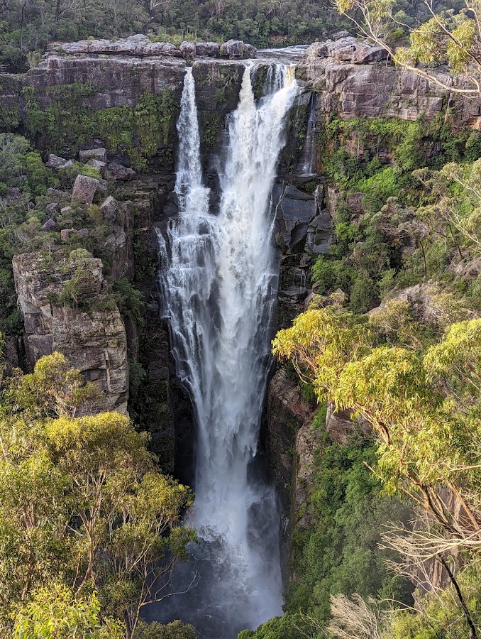 Budderoo National Park