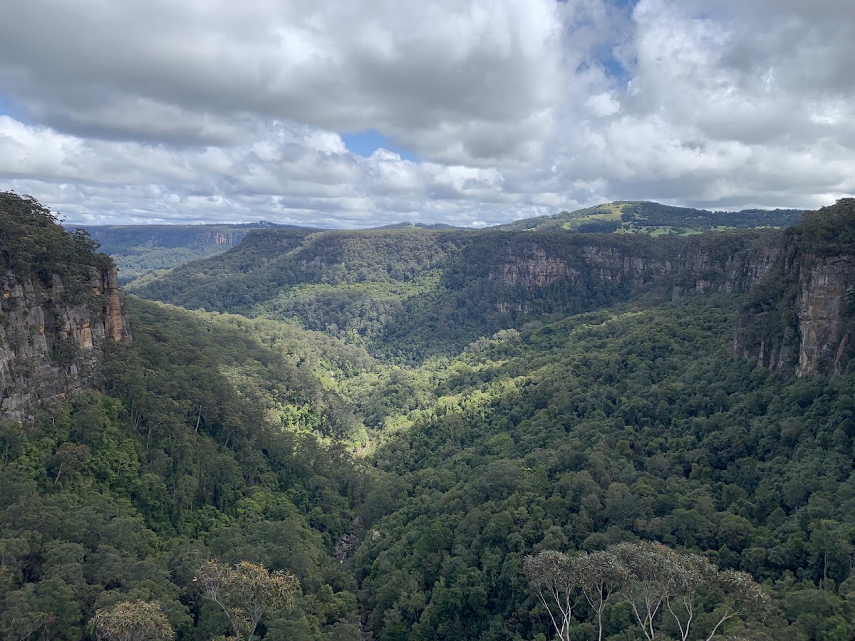 Budderoo National Park