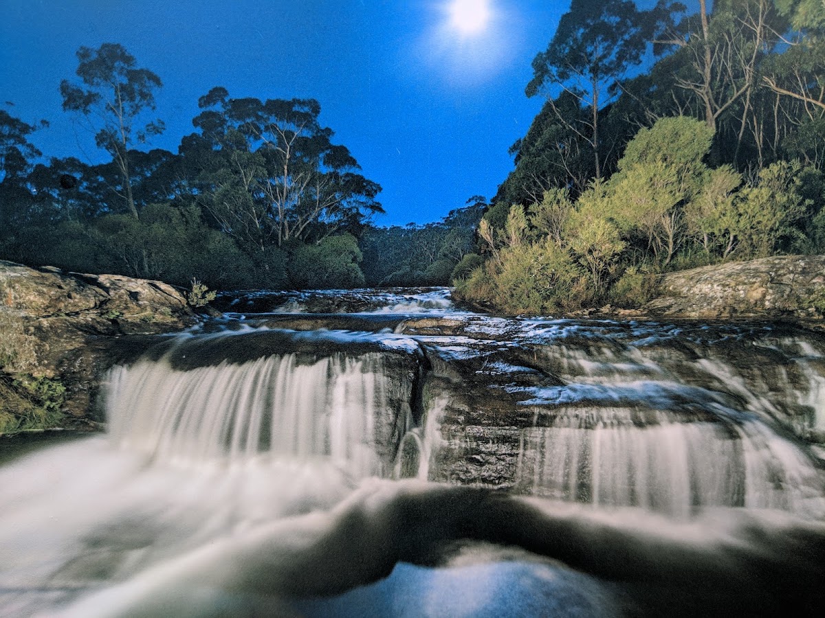 Budderoo National Park