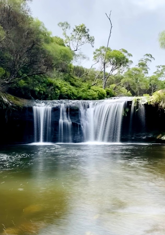 Budderoo National Park