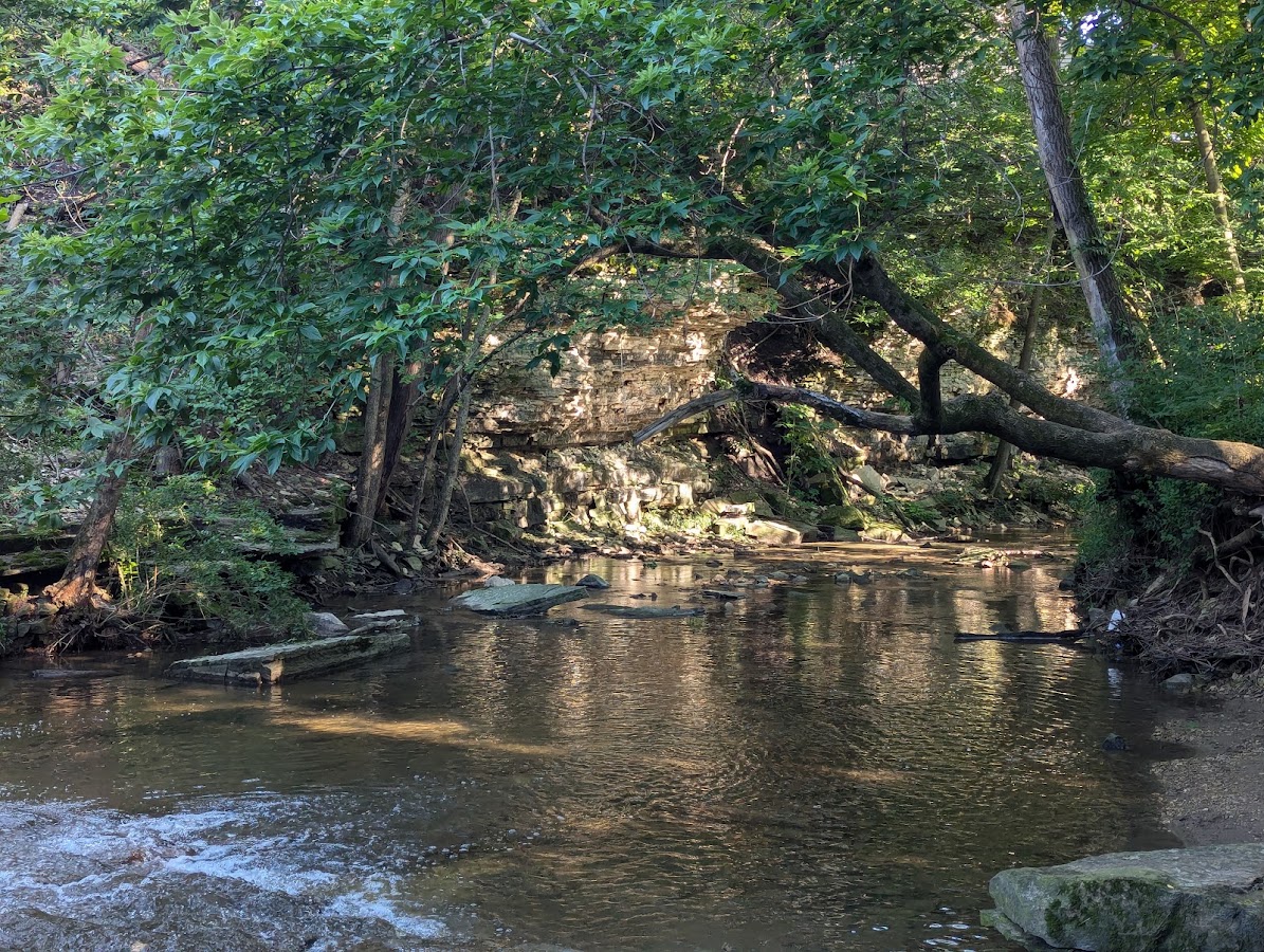 Charleys Creek Falls