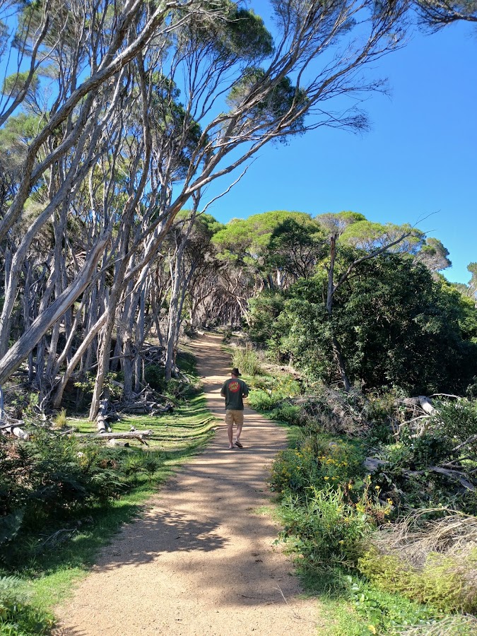 Wallagoot Gap Beach