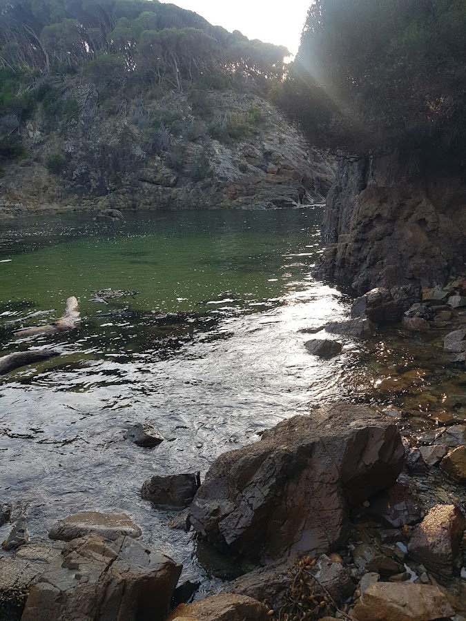 Wallagoot Gap Beach