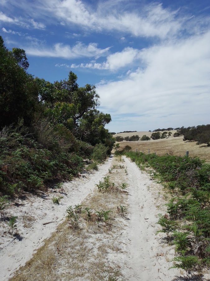 Mount Scott Conservation Park