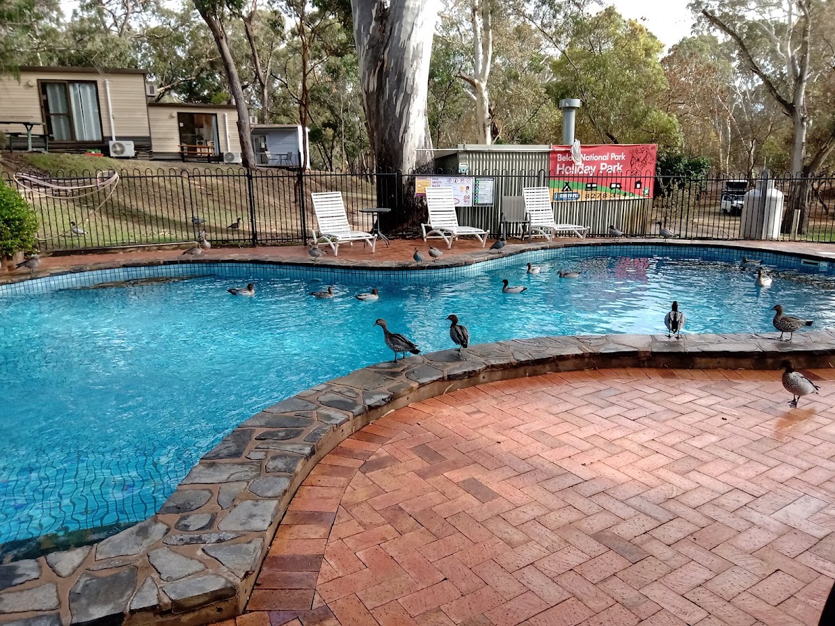 Belair National Park Caravan Park