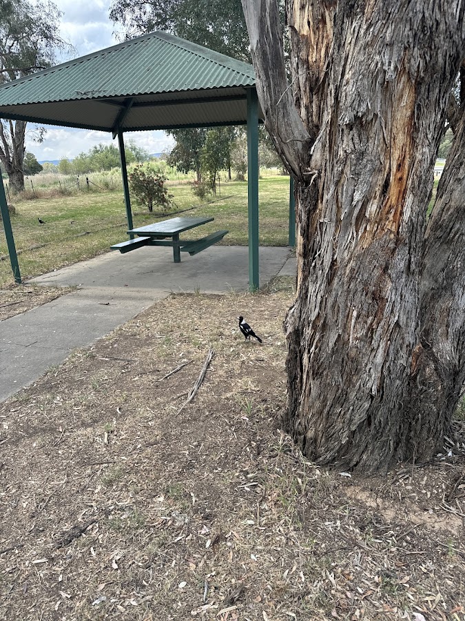 Bendick Murrell Rest Area