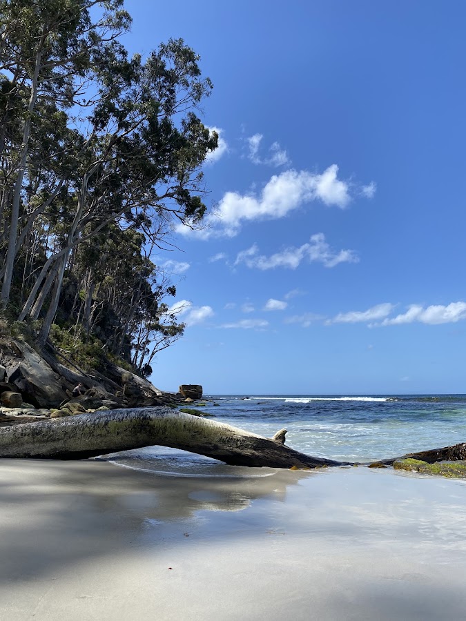 Hanssons Beach