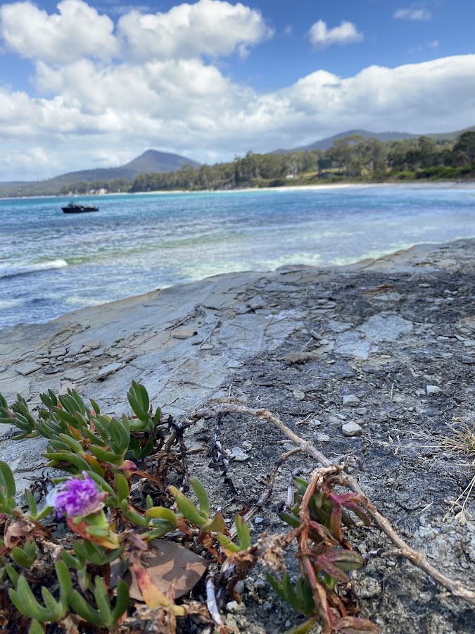 Hanssons Beach