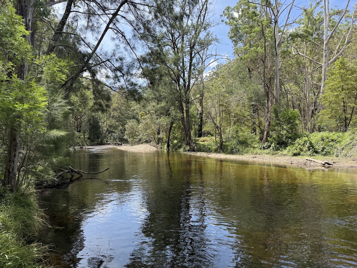 Long Gully 2