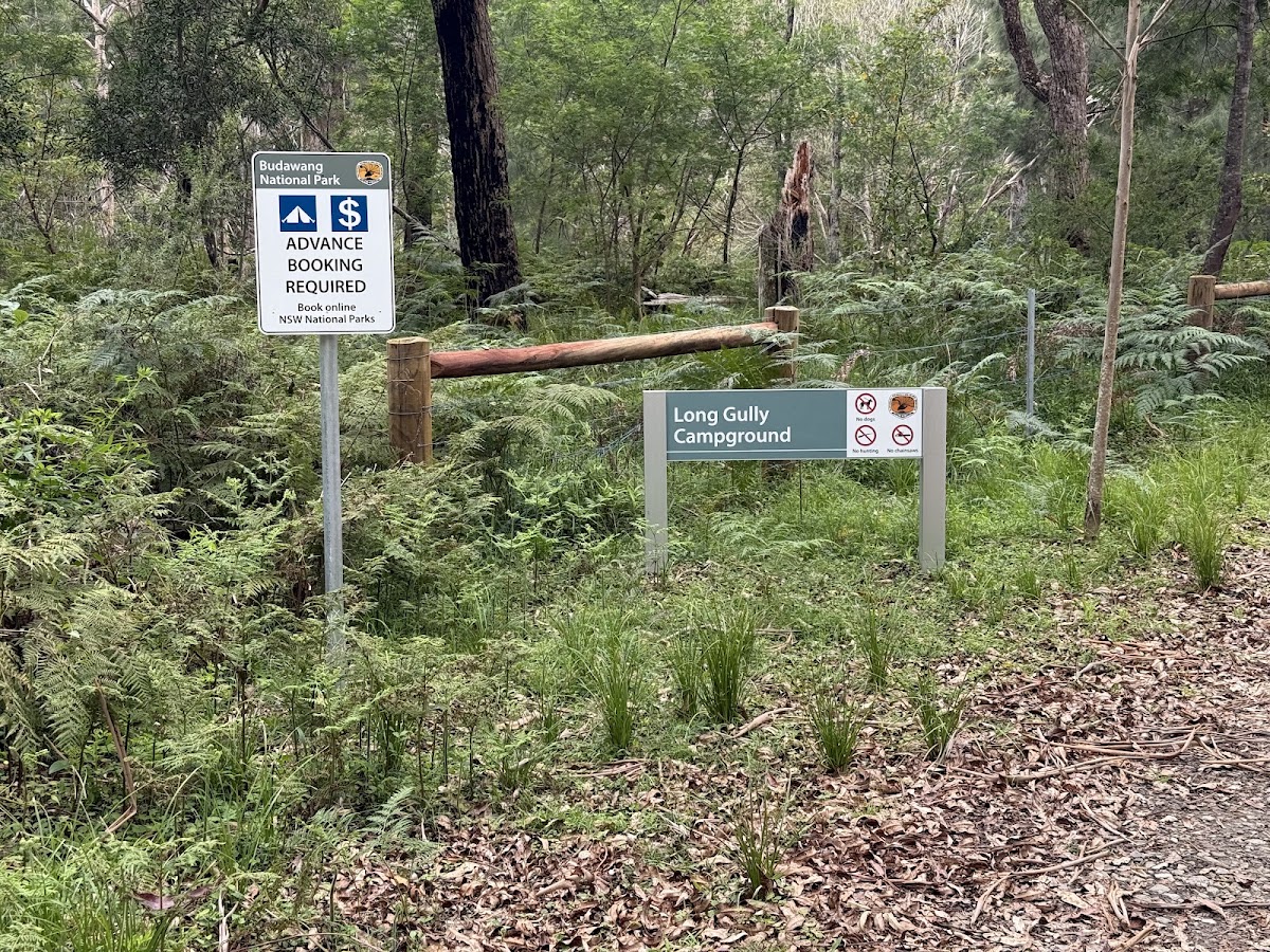 Long Gully 2