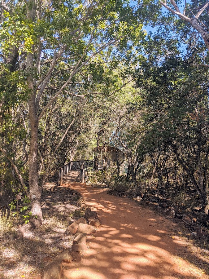 Forty Mile Scrub National Park