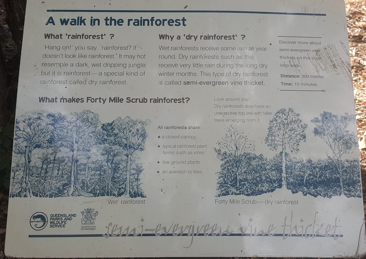 Forty Mile Scrub National Park