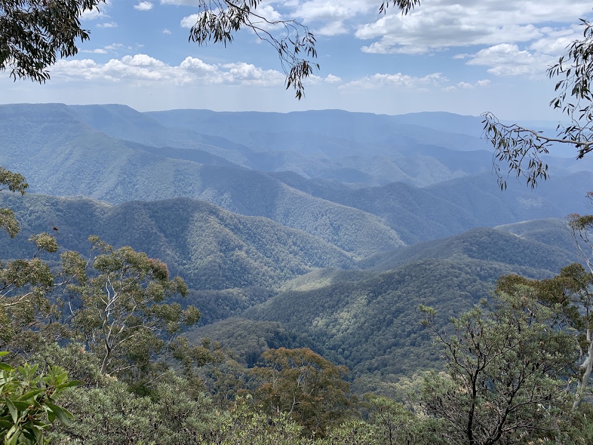 Second Lookout