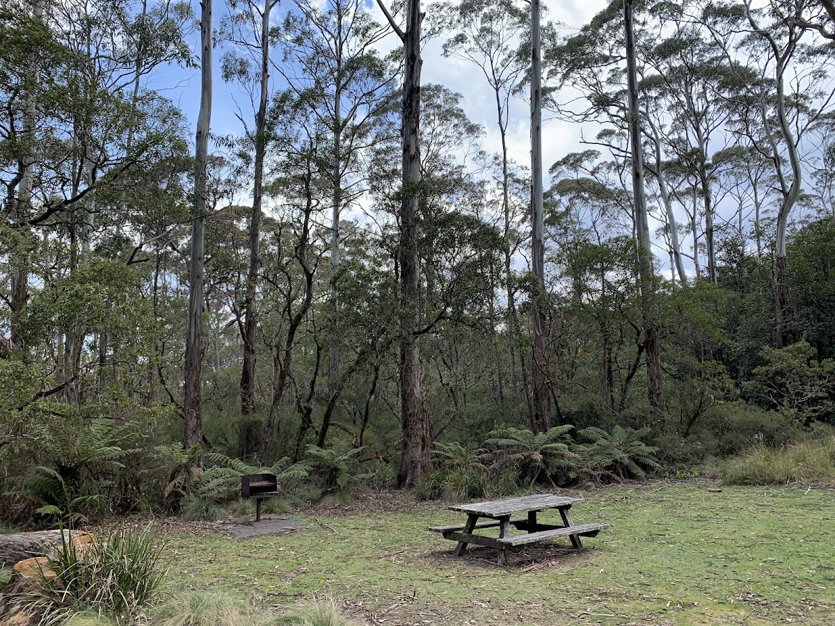 Second Lookout