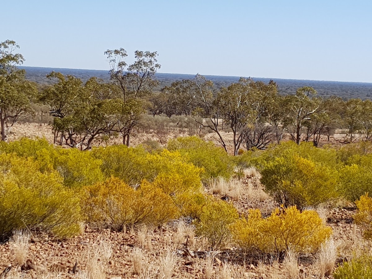 Gundabooka National Park