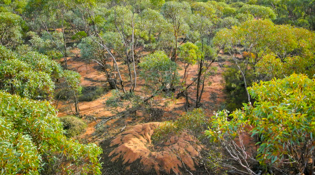 Mallee Cliffs National Park