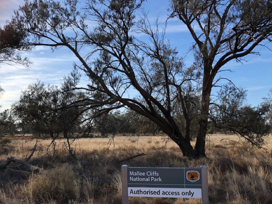 Mallee Cliffs National Park