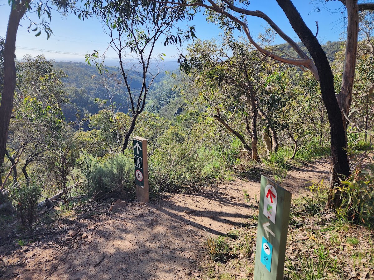 Measday's Lookout