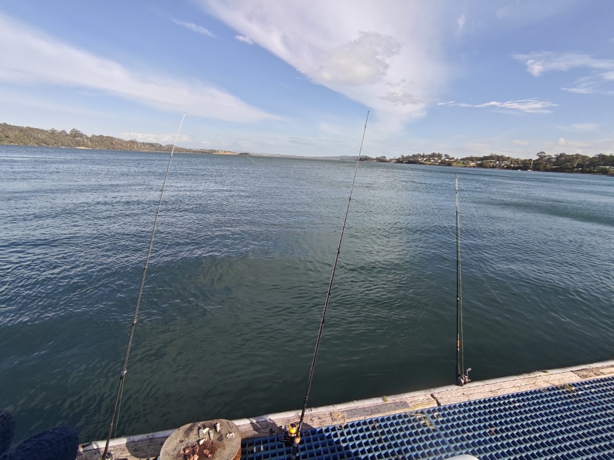 Hall Point