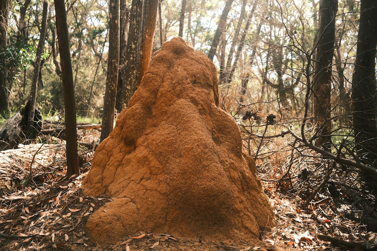 Quoraburagun Pinnacles