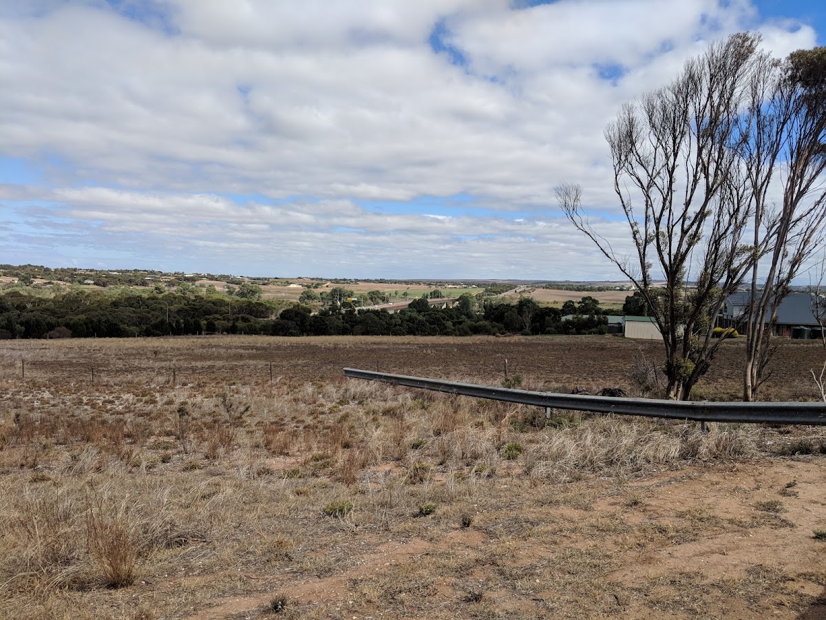 Frank Jackman Lookout