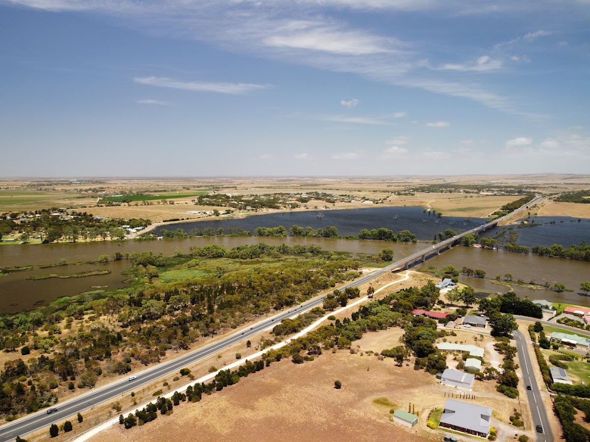 Frank Jackman Lookout
