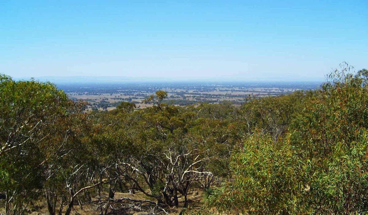 Warby-Ovens National Park