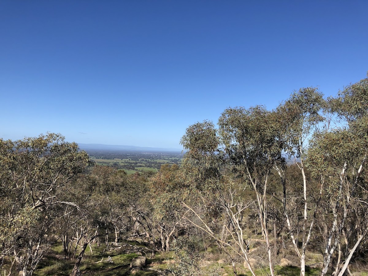 Warby-Ovens National Park