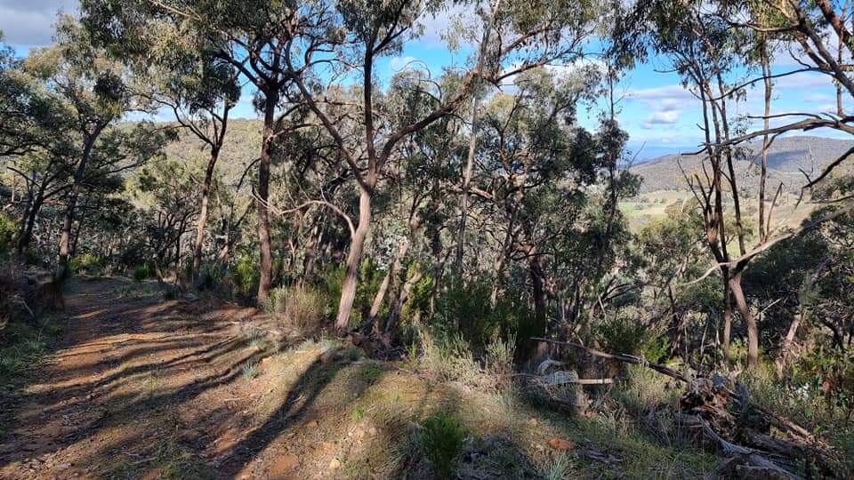 Warby-Ovens National Park