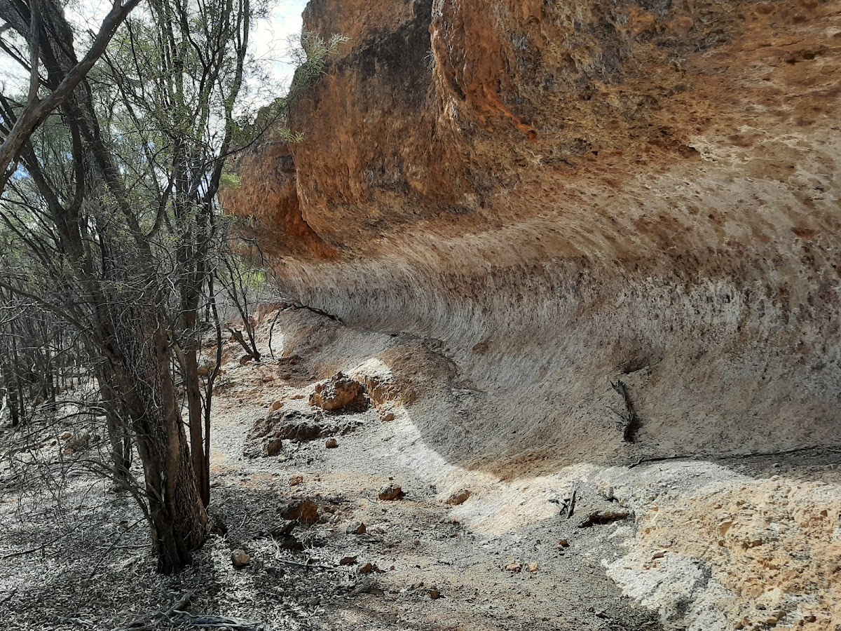 Idalia National Park