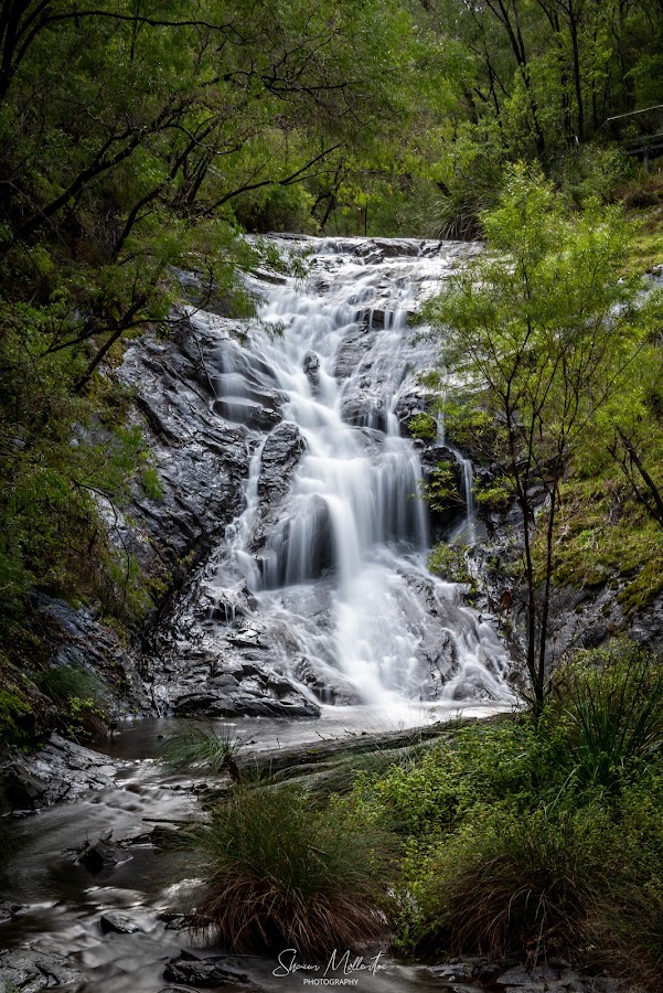 Splendid Falls