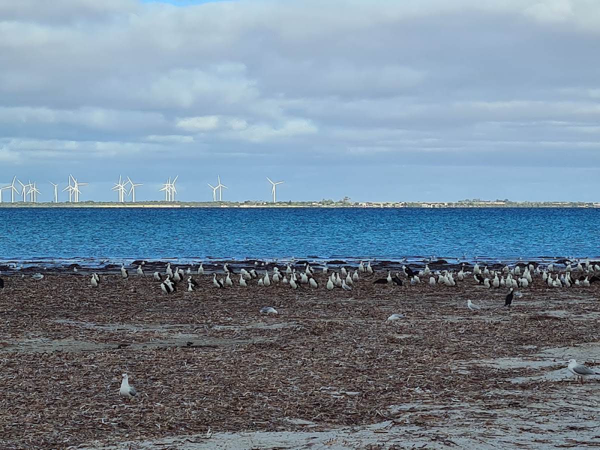 Troubridge Island Conservation Park