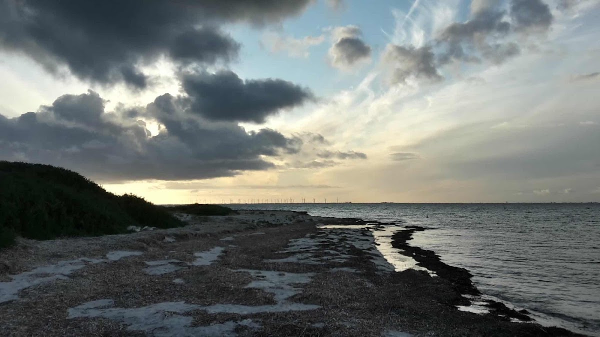 Troubridge Island Conservation Park