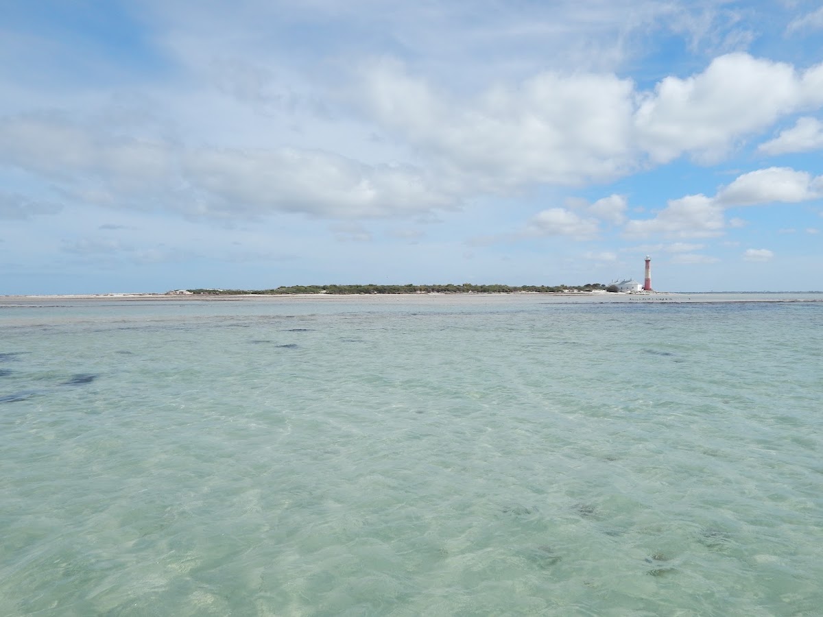 Troubridge Island Conservation Park