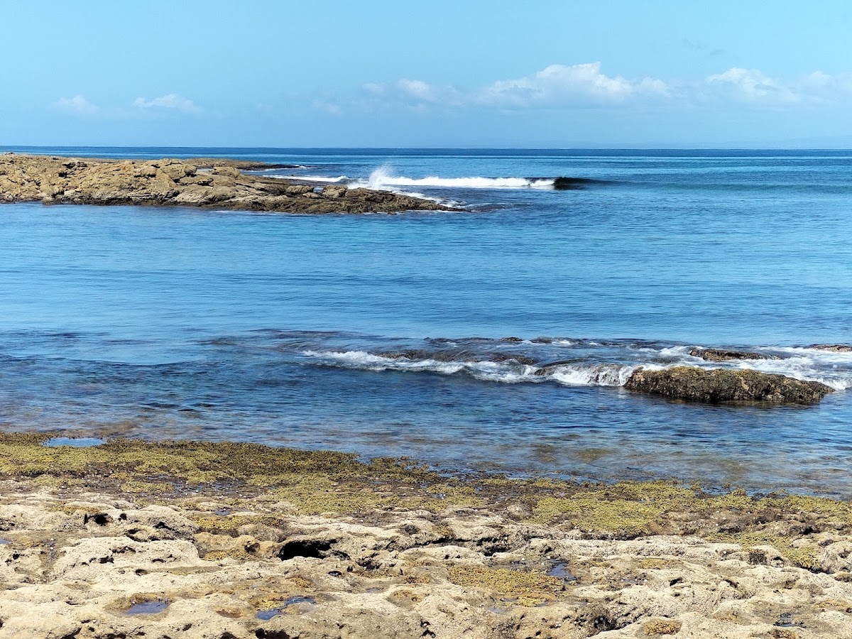 Black Harbour