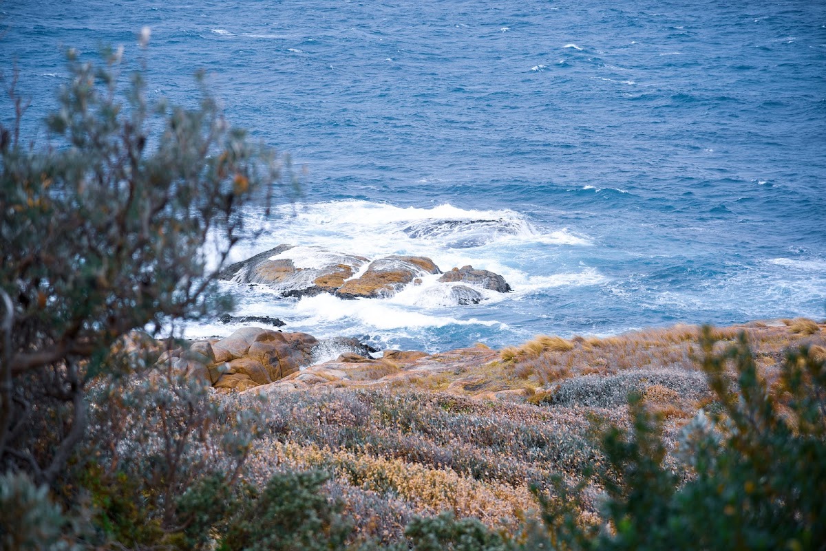 Point Hicks Marine National Park