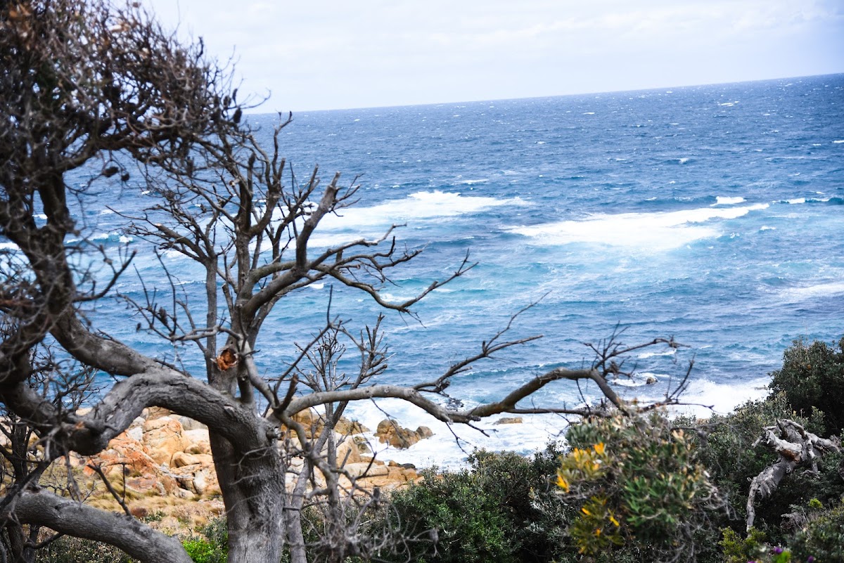 Point Hicks Marine National Park
